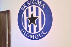 malba_na_zed_logo_fotbal